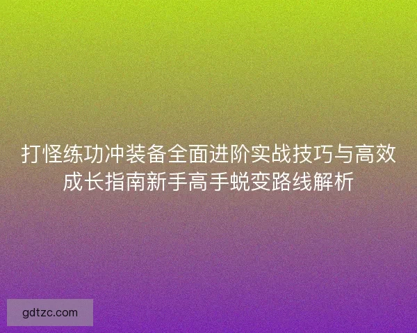 打怪练功冲装备全面进阶实战技巧与高效成长指南新手高手蜕变路线解析
